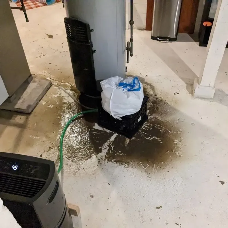 Sewage Backup Cleanup Service in Conneaut Lakeshore, PA